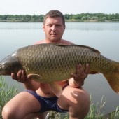 Карп 14 кг, пойманный на бойл КРЕВЕТКА•СПЕЦИИ
