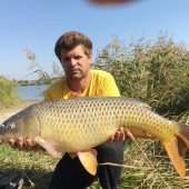 Одесский красавец