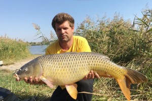 Карп весом 18, 5 кг. Пойман на насадочный бойл Grandcarp КАЛЬМАР•КЛЮКВА