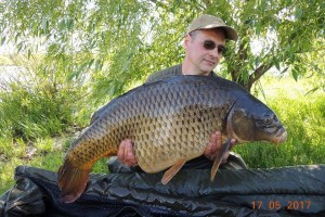 Карп весом 15, 9 кг. Пойман на бойл Grandcarp КАЛЬМАР•КЛЮКВА