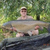 Белый амур 15 кг. Пойман на насадочный бойл Grandcarp КАЛЬМАР•КЛЮКВА