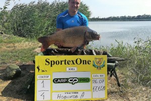 Июльский карп с турнира Sportex one