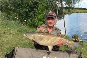 Амуревич Червоного Прапора