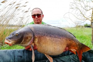 002_2019