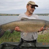 Белый амур весом 12.75 кг, пойманный на бойл КРЕВЕТКА•СПЕЦИИ