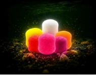 Amino Wafters Multicolor