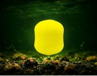 БОЙЛИ НЕЙТРАЛЬНОÏ ПЛАВУЧОСТI (WAFTERs) 