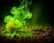 Флюороплазми та флюороплазми ПЛЮС зелені день