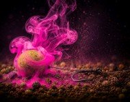 Флюороплазми рожеві день