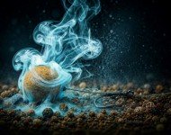 Флюороплазми ніч